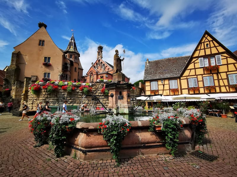 Route des Vins villages (Eguisheim, Riquewihr, Kaysersberg)