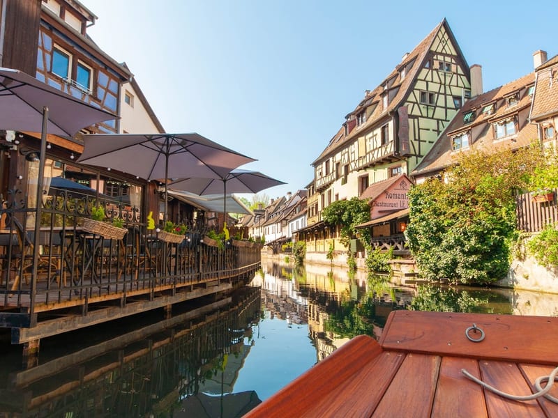 Parc canin de Colmar