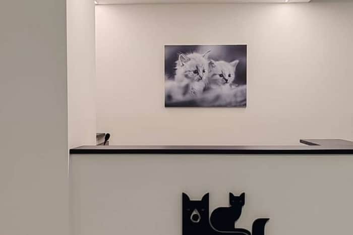Clinica Veterinaria San Siro Cernobbio