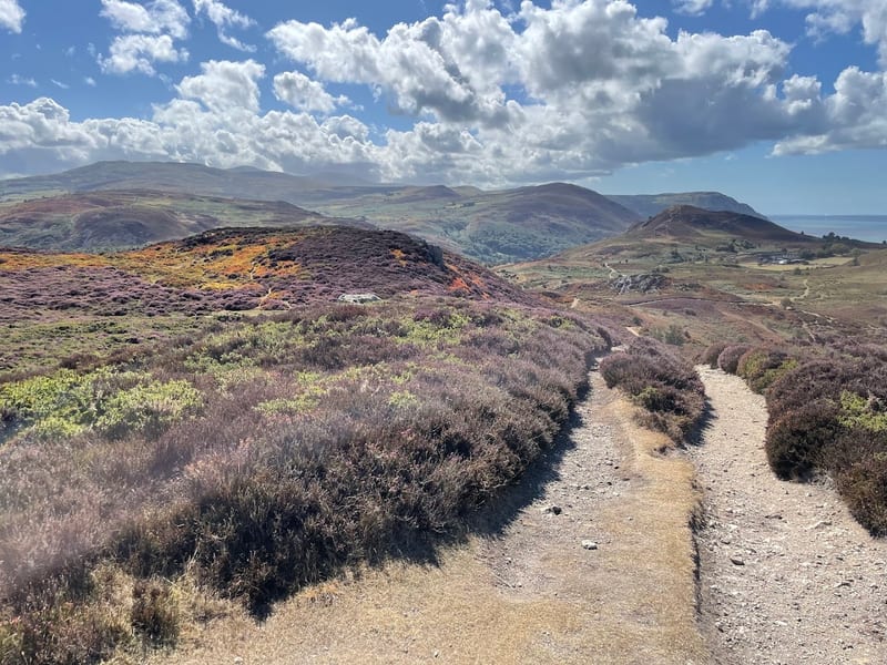 Conwy Mountain (Mynydd y Dref)