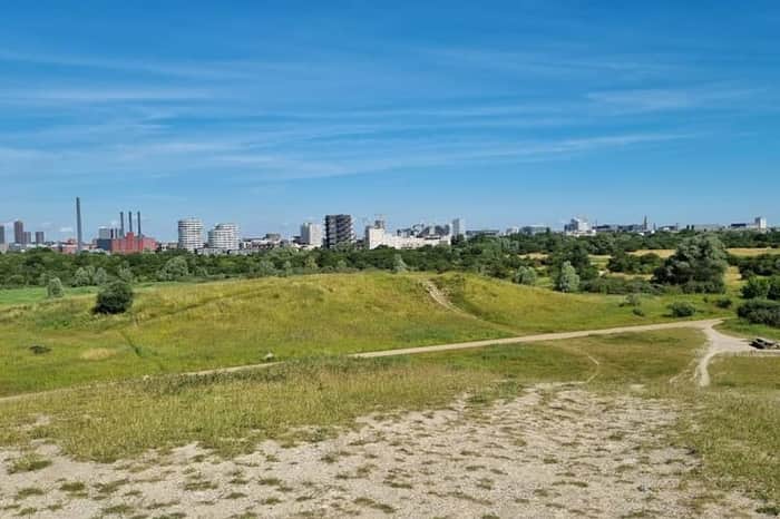 Amager Fælled