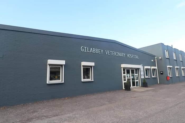 Gilabbey Veterinary Hospital