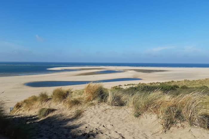 Maasvlakte Hondenstrand