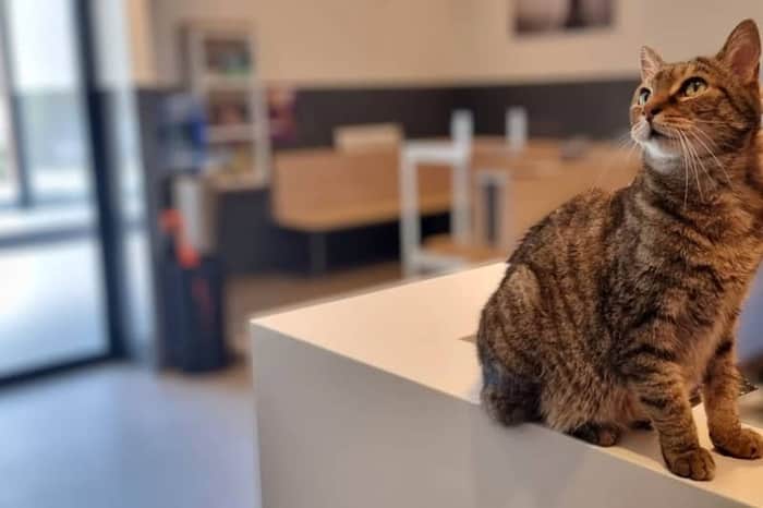 AniCura Dierenkliniek Delft