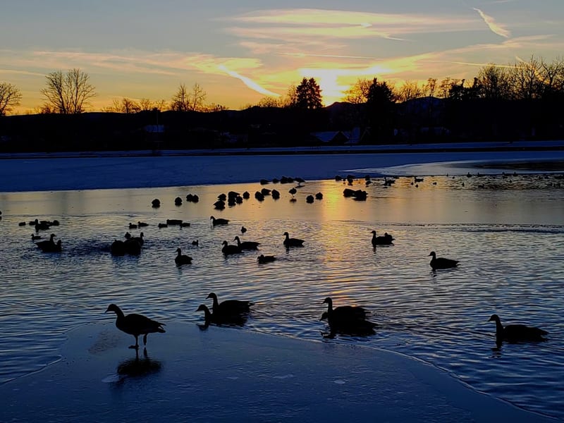 Washington Park