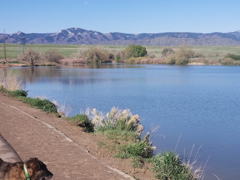 Chatfield State Park Dog Off-Leash Area