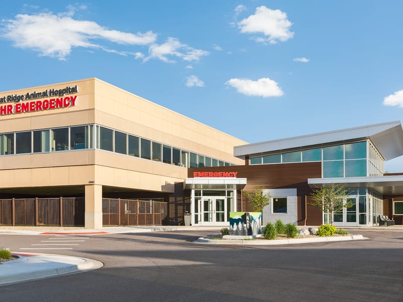 Wheat Ridge Animal Hospital