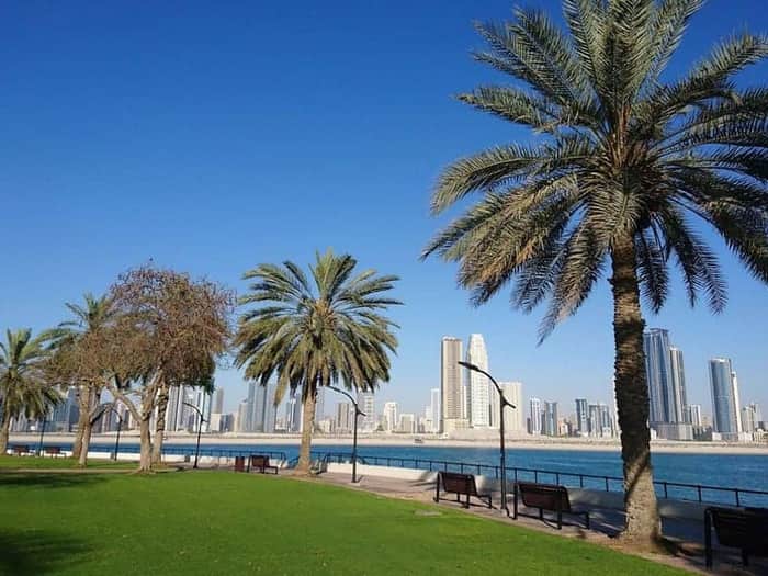 Al Mamzar Beach Park (dogs not allowed)