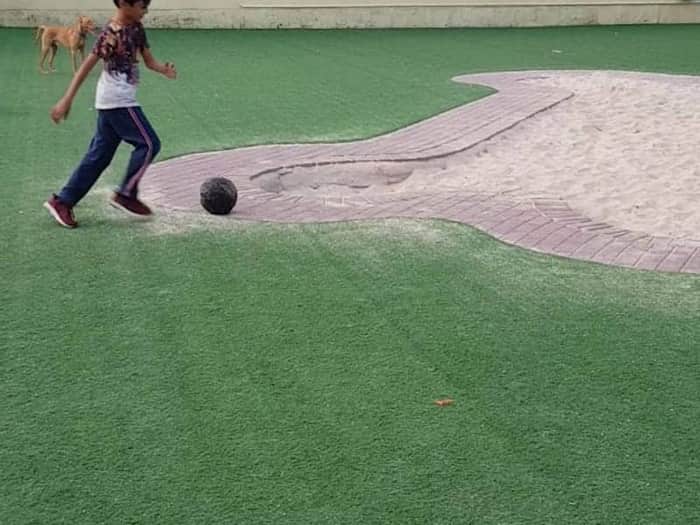 The Greens Dog Park