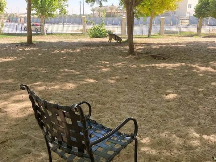 The Sustainable City Dog Park