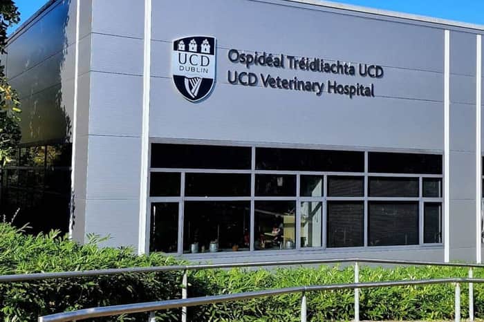 UCD Veterinary Hospital