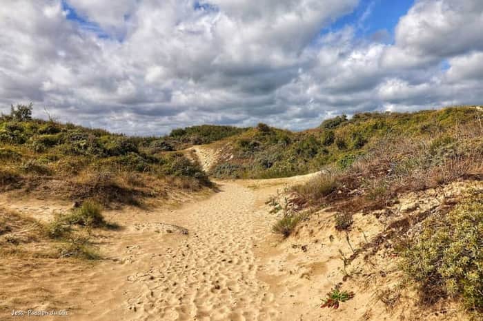 Réserve Naturelle Dune Marchand