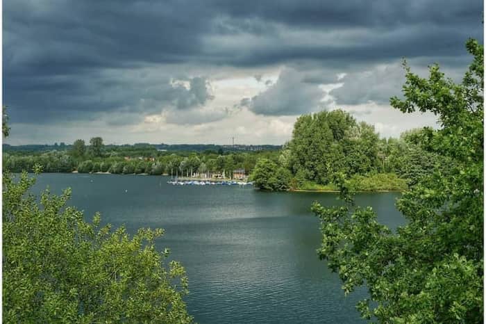 Elbsee, Hundebadestelle