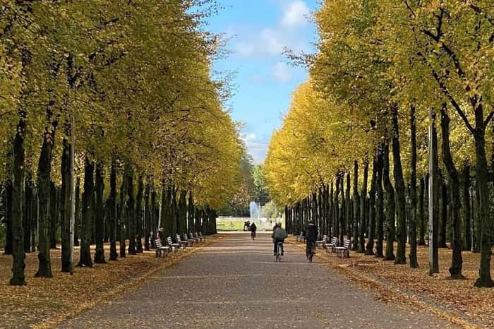 Hofgarten