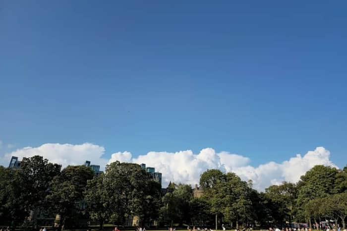 The Meadows