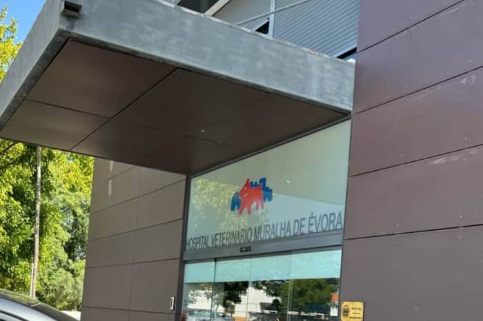 Hospital Veterinário Évora (24h)