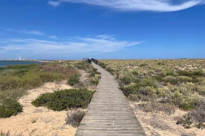 Ria Formosa Boardwalk