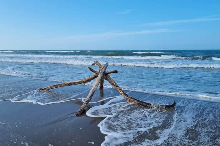 Viareggio, Spiaggia per Cani