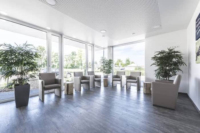Kleintierchirurgie Dr. Morich