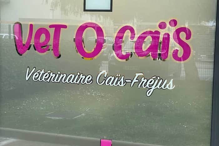3115 Service Urgences Vétérinaires