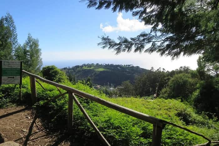 Levada dos Tornos (Monte–Camacha section)