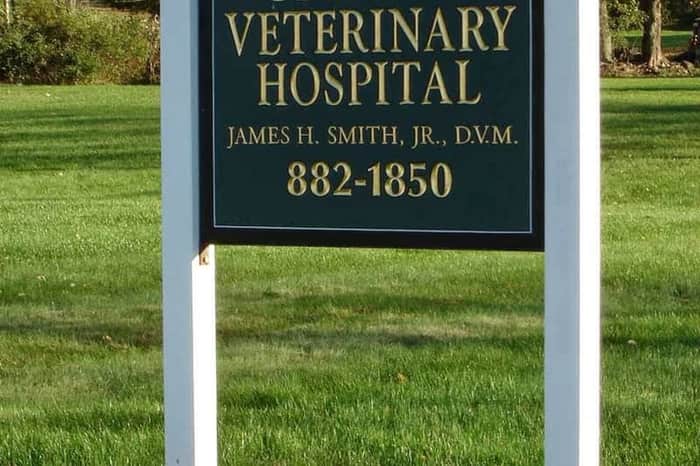 Galway Veterinary Specialists