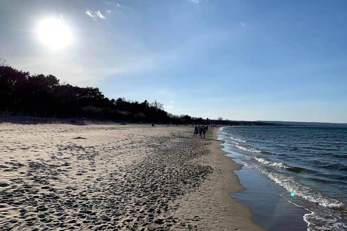 Brzeźno Beach (Dog Zone)