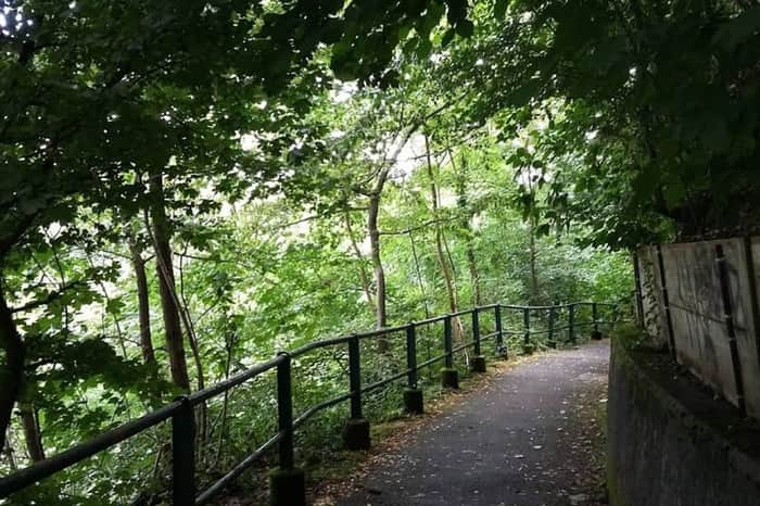 Bois de la Bรขtie