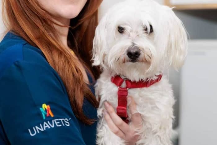 Clínica Veterinaria Tartanga Berango