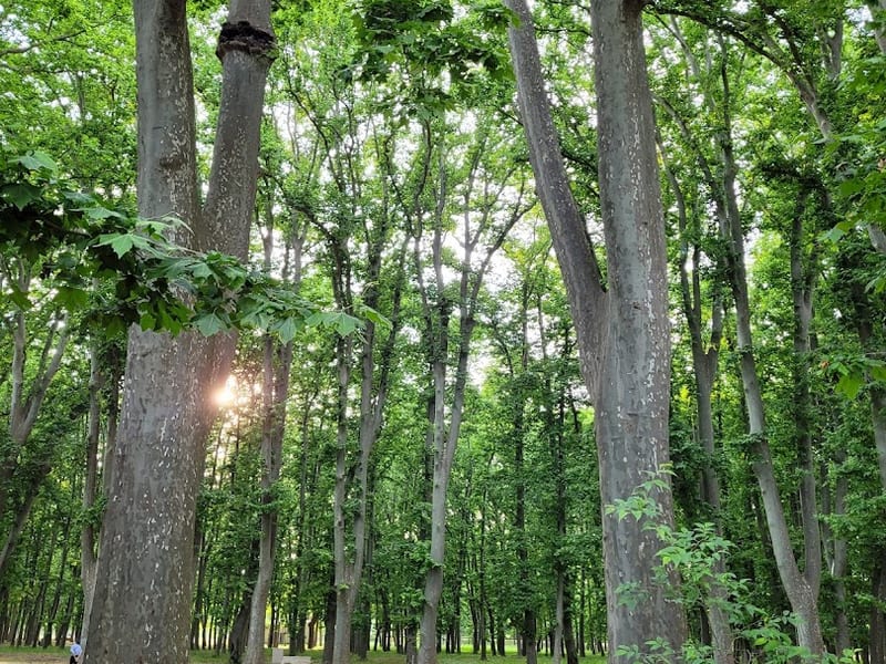 Parc de la Devesa