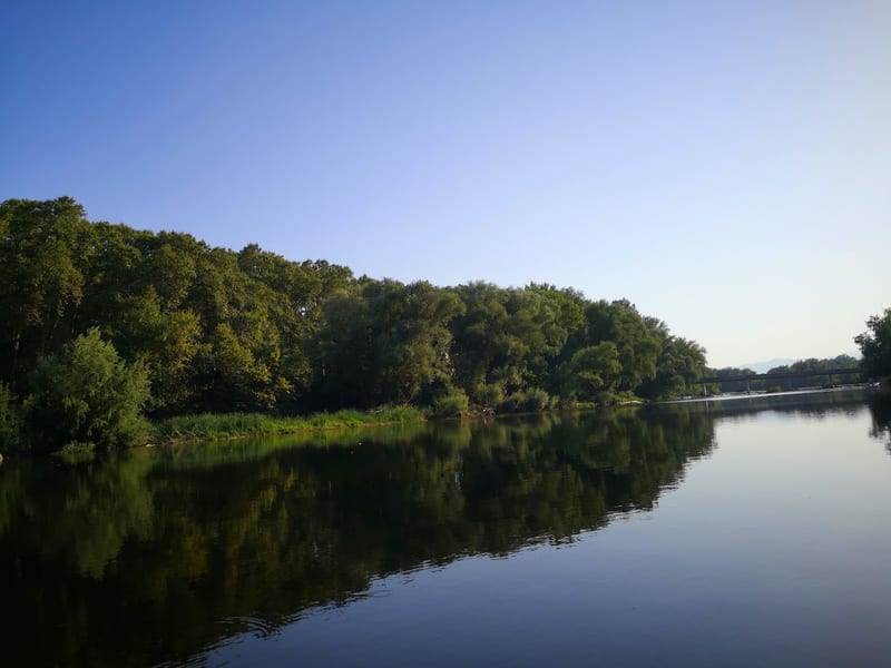 Itinerari caní de les Ribes del Ter