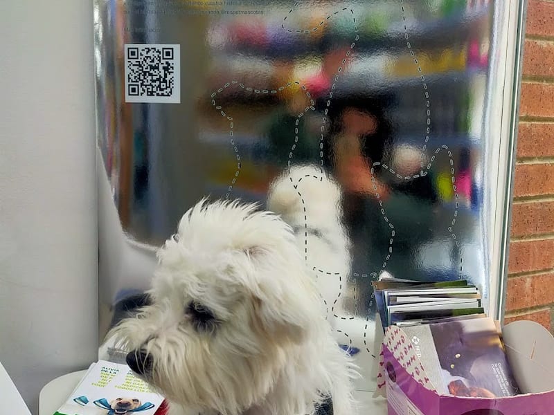 Vets Centre Veterinari Girona