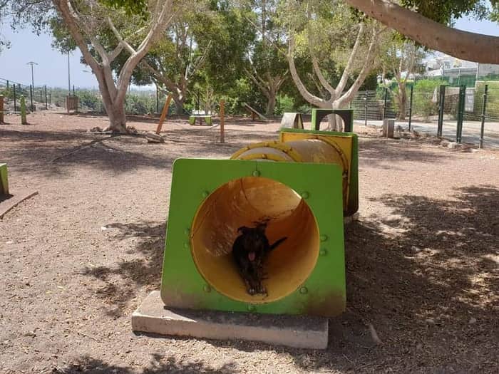 Parque Canino de San Fernando de Maspalomas