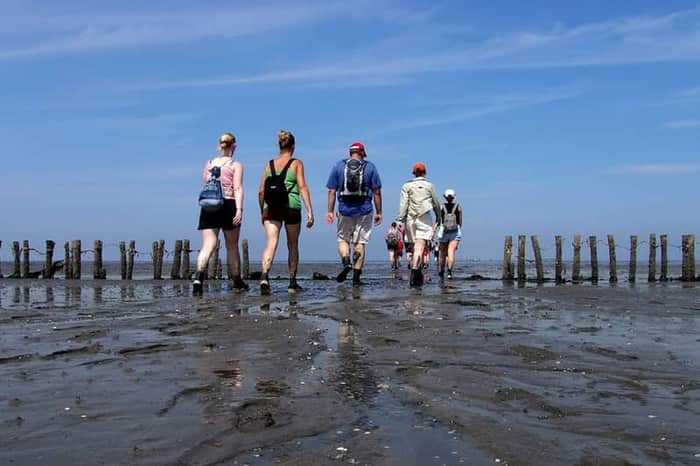 Pieterburen Wadden Dyke Walk