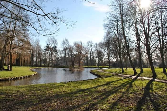 Schoterbos