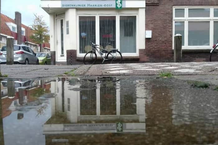 Dierenkliniek Haarlem-Oost