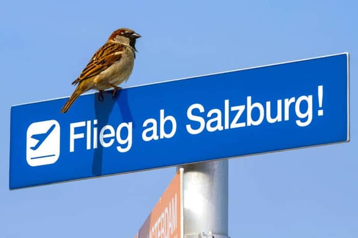 Salzburg Airport (SZG) & Postbus Connections