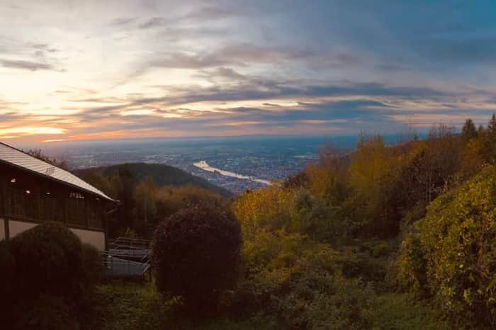 Königstuhl Forest