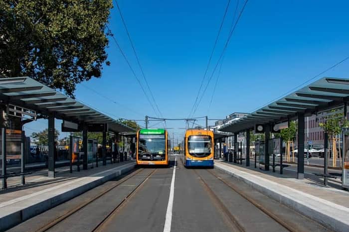 RNV Trams & Buses