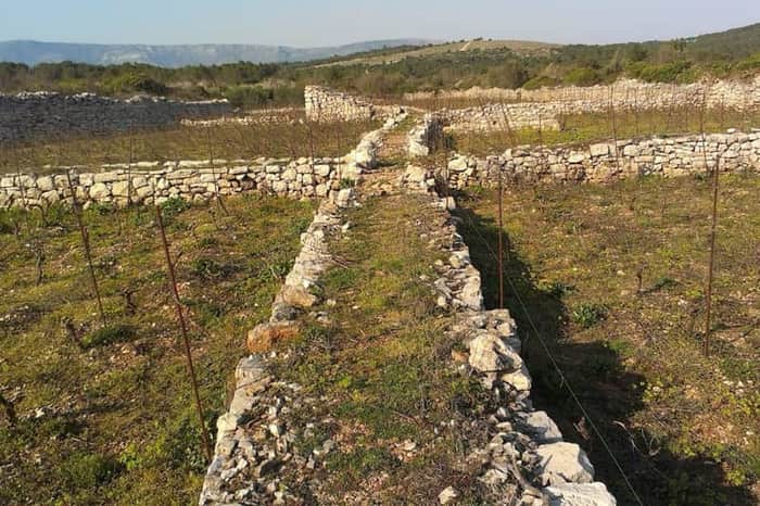 Stari Grad UNESCO Historic Centre