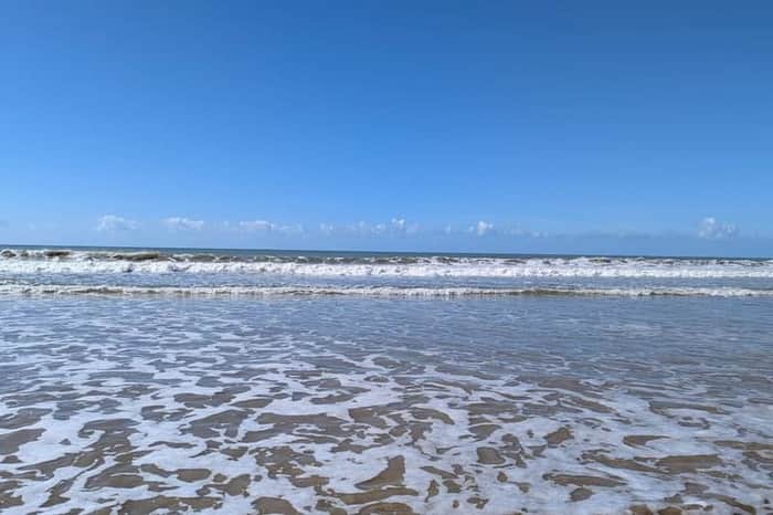 Forêt et dunes du Bois-Plage