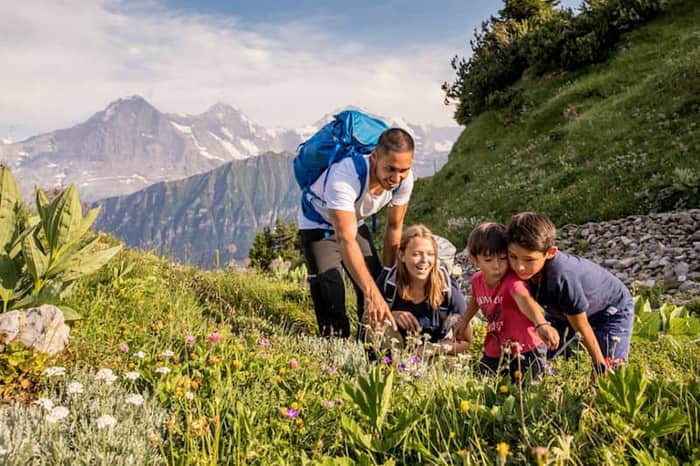 Schynige Platte Alpine Garden