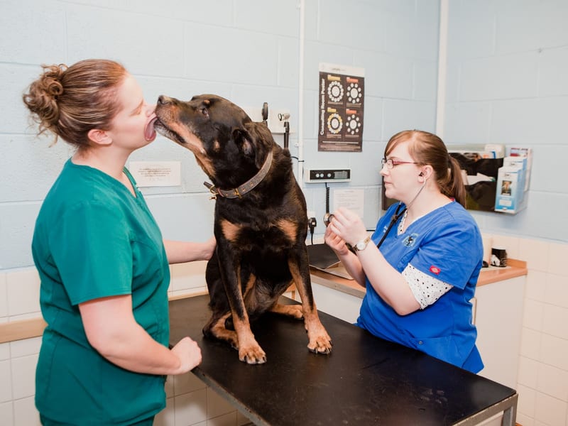 Inshes Veterinary Centre (Highland Vet Emergencies)