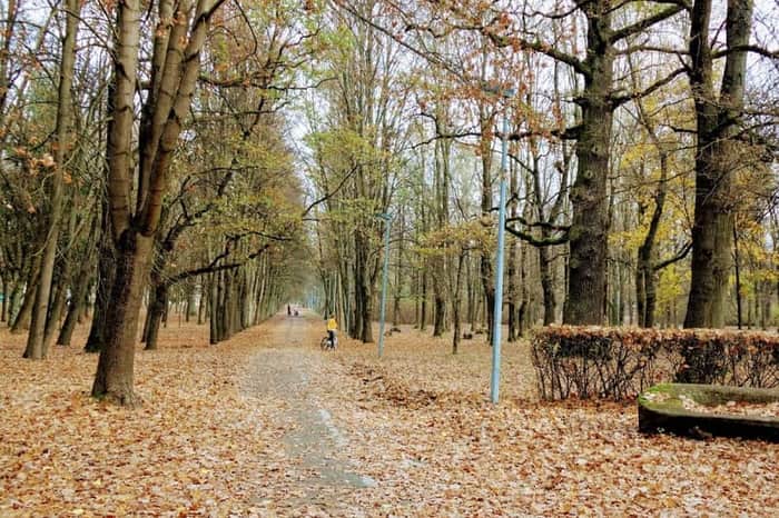 Ąžuolynas Park (Oak Grove)