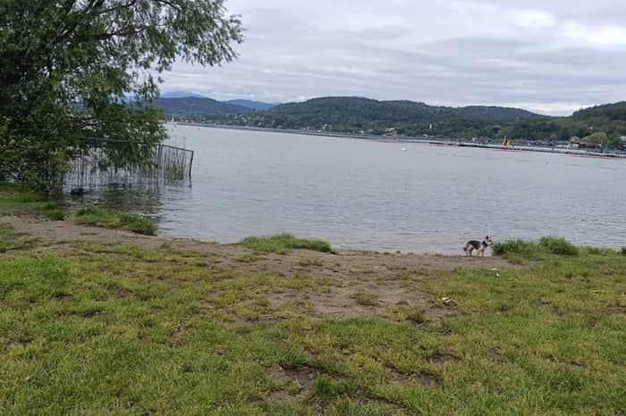 Hundebadeplatz Lendkanal-Mündung