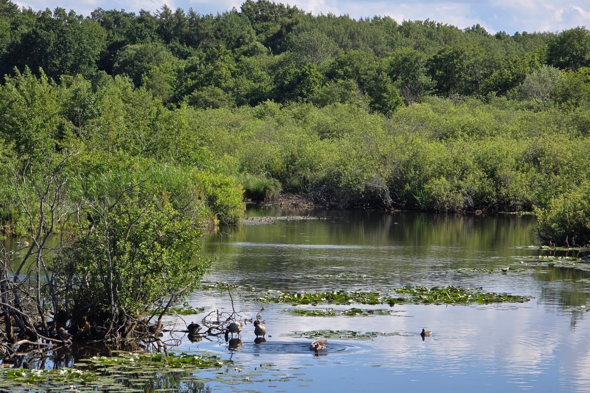 Ecopark Wschodni