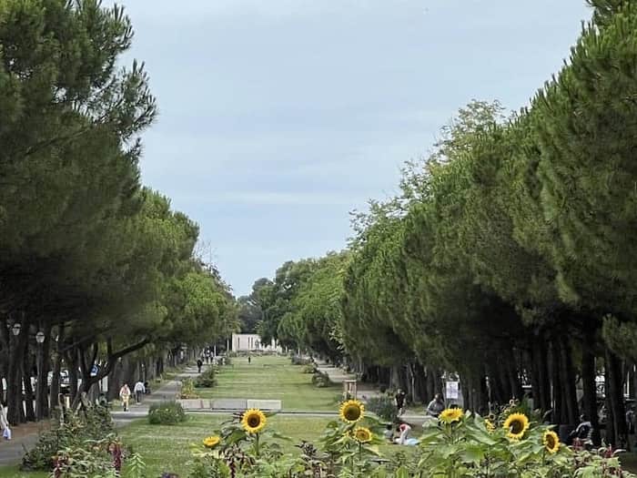 Parc Charruyer