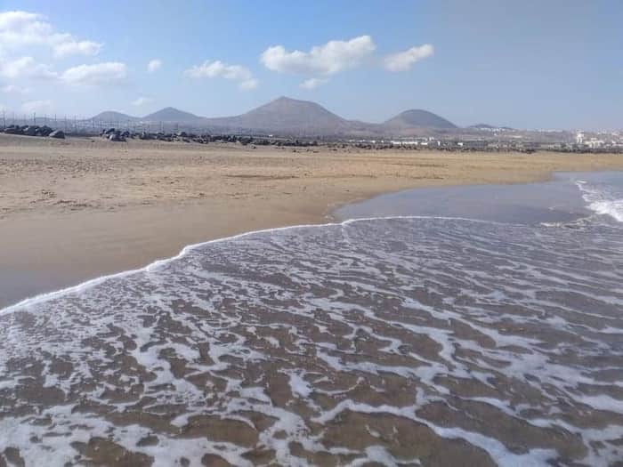 Playa de Guacimeta (dog beach)