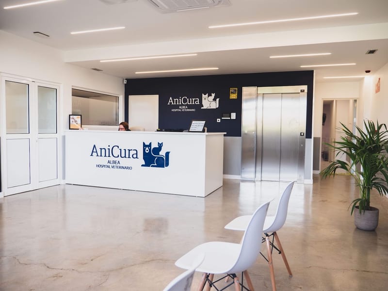 AniCura Albea Hospital Veterinario