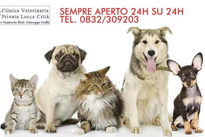 Centro Veterinario Salento